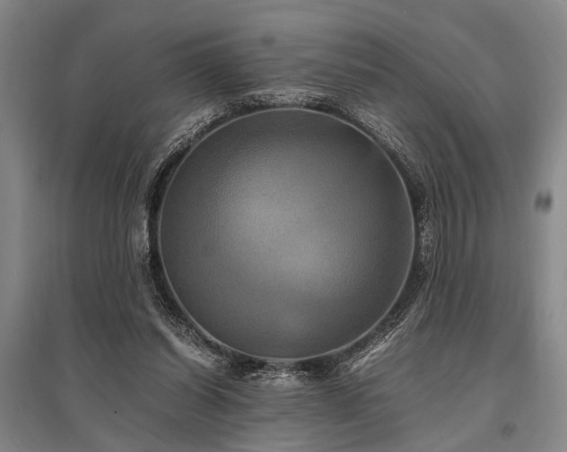 X0000095520254200712141452