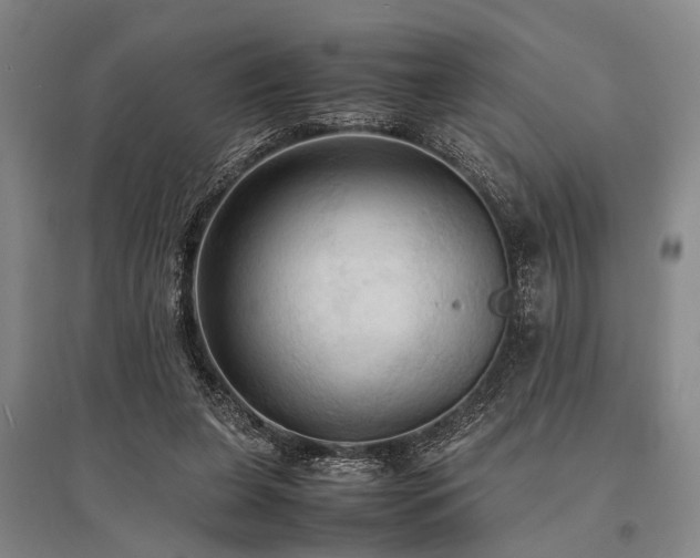 X0000095520255200712141452