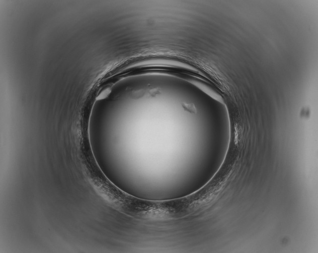 X0000095520256200712141452