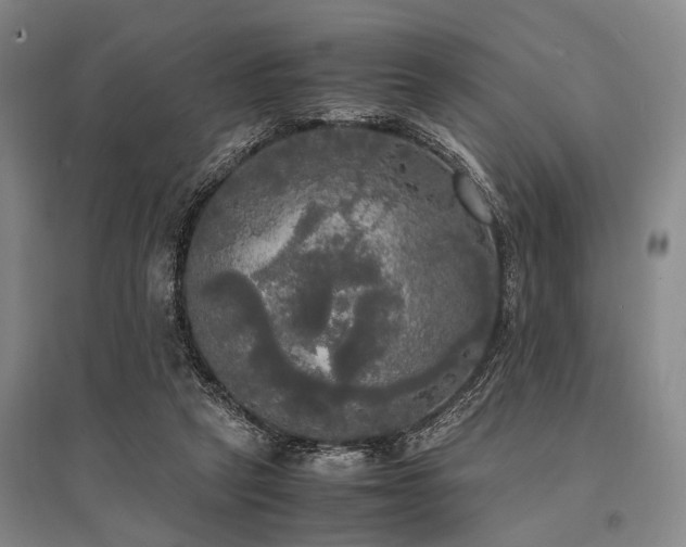 X0000095520257200712141452