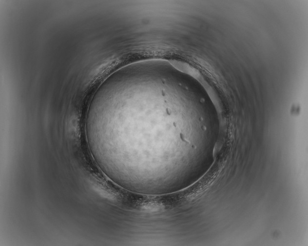 X0000095520258200712141452