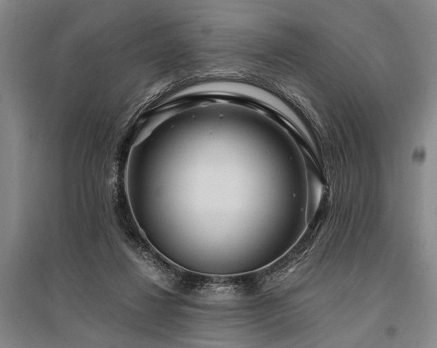 X0000095520260200712141452