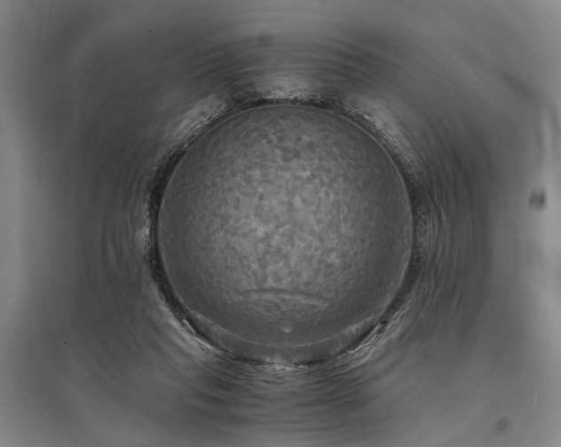 X0000095520261200712141452