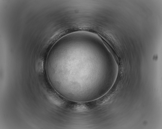 X0000095520262200712141453