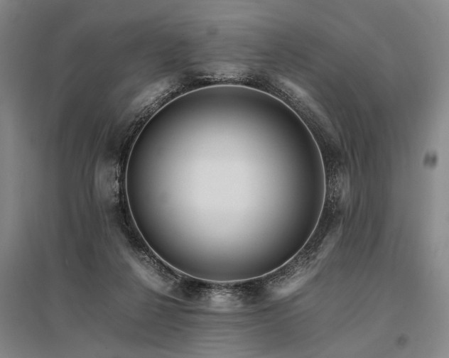 X0000095520264200712141453