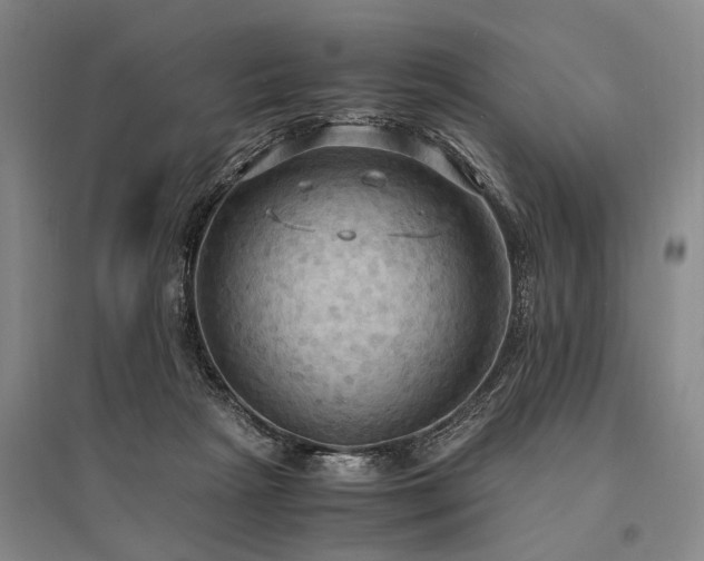 X0000095520265200712141453