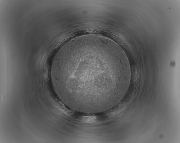 X0000095520266200712141453