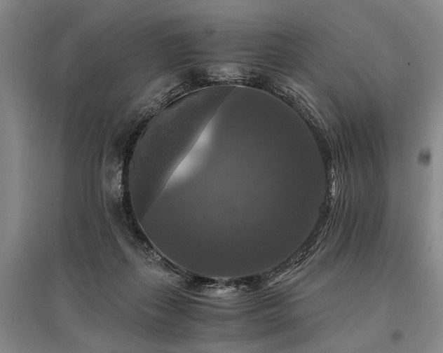 X0000095520267200712141453