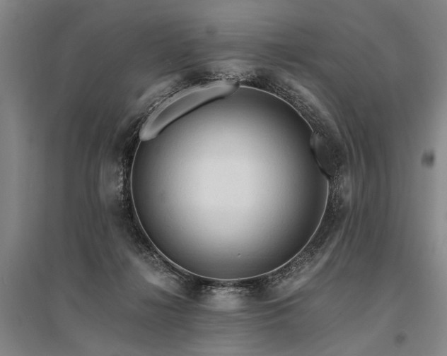 X0000095520268200712141453