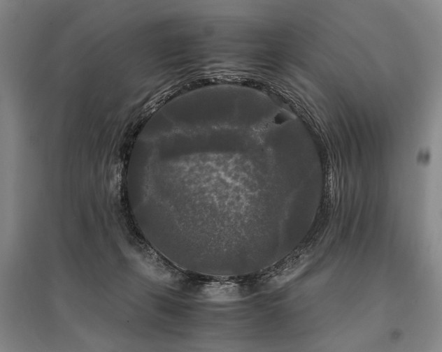 X0000095520271200712141453