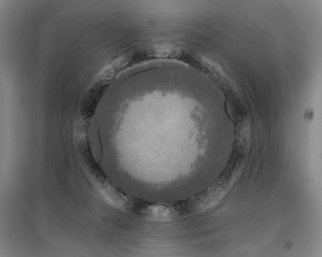 X0000095520272200712141453