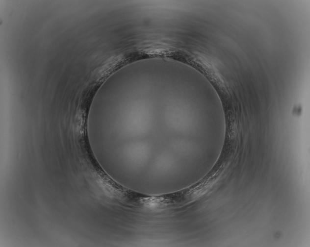 X0000095520273200712141453