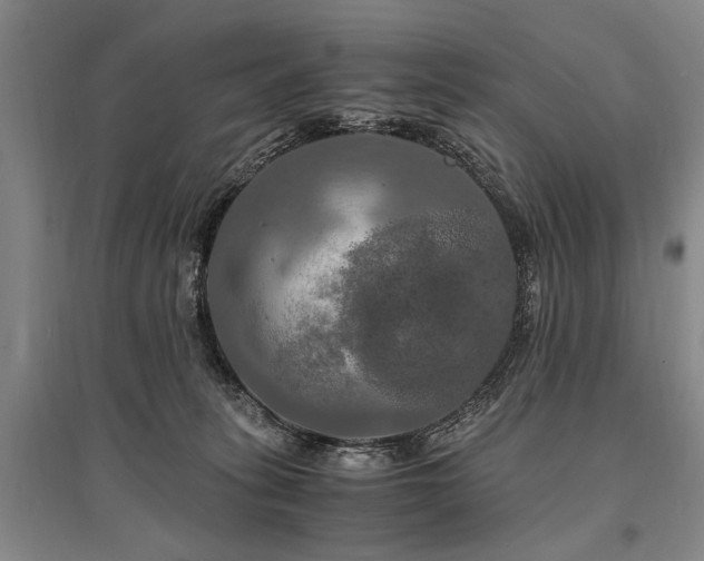 X0000095520275200712141453