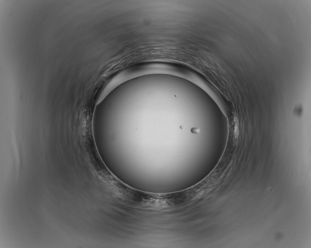 X0000095520276200712141453