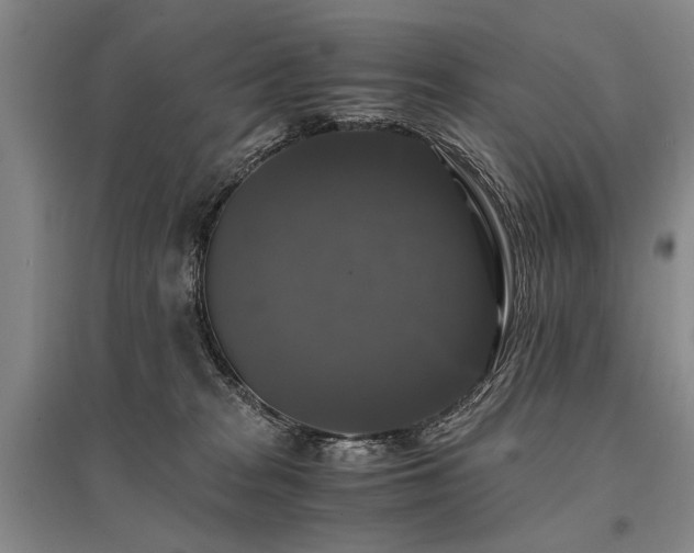 X0000095520277200712141453