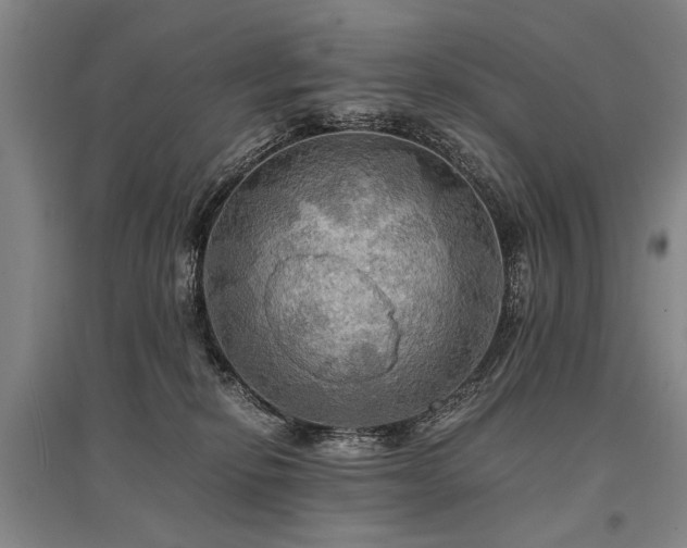 X0000095520278200712141453