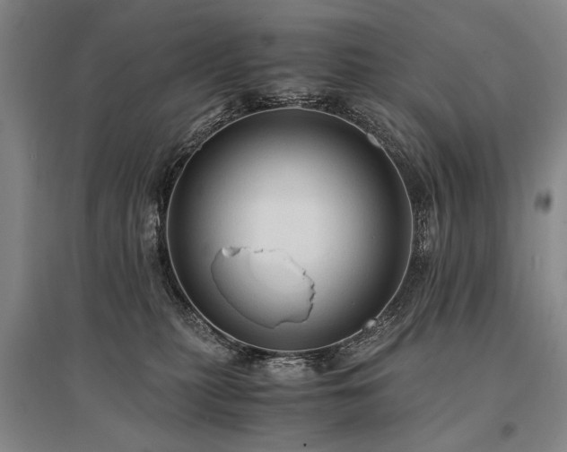 X0000095520279200712141453