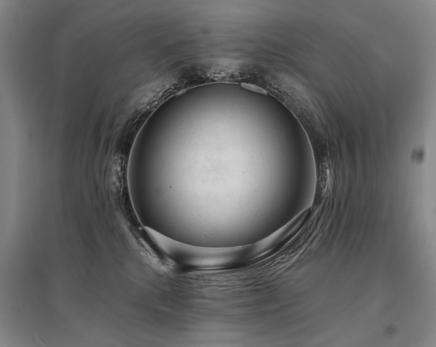 X0000095520280200712141453