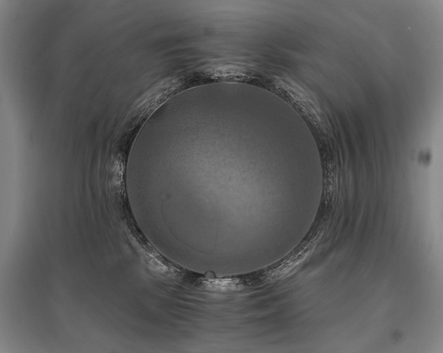 X0000095520281200712141453