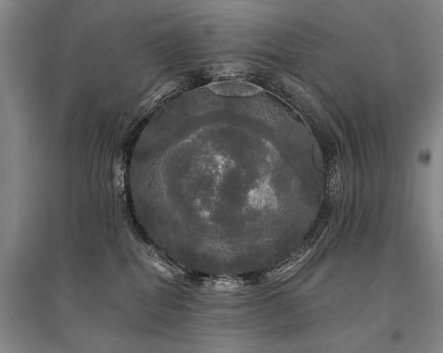 X0000095520282200712141453