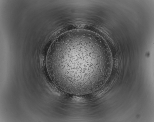 X0000095520283200712141453