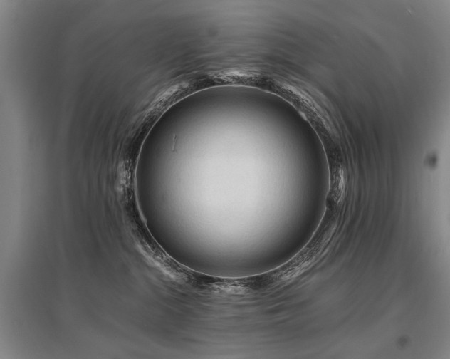 X0000095520284200712141453