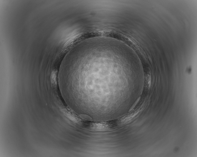 X0000095520286200712141453