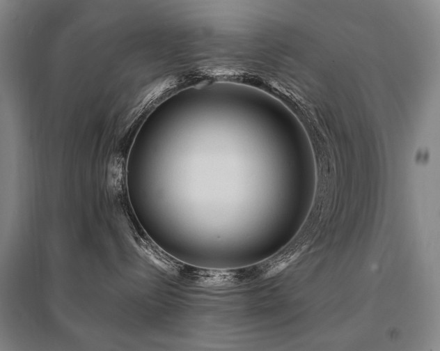 X0000095520288200712141453