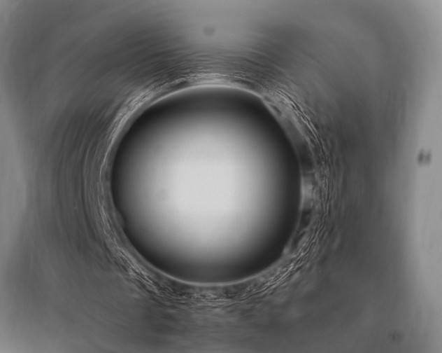 X0000095520289200712141452