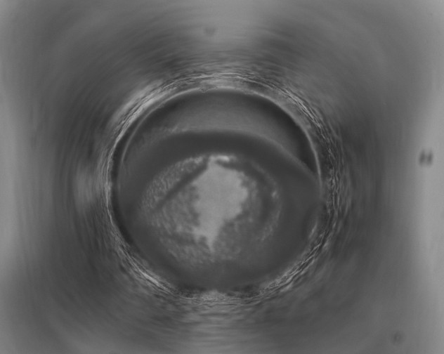 X0000095520290200712141452