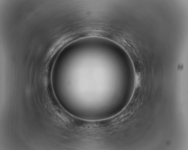 X0000095520291200712141452