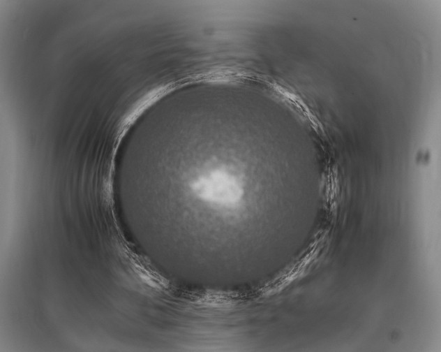 X0000095520292200712141452