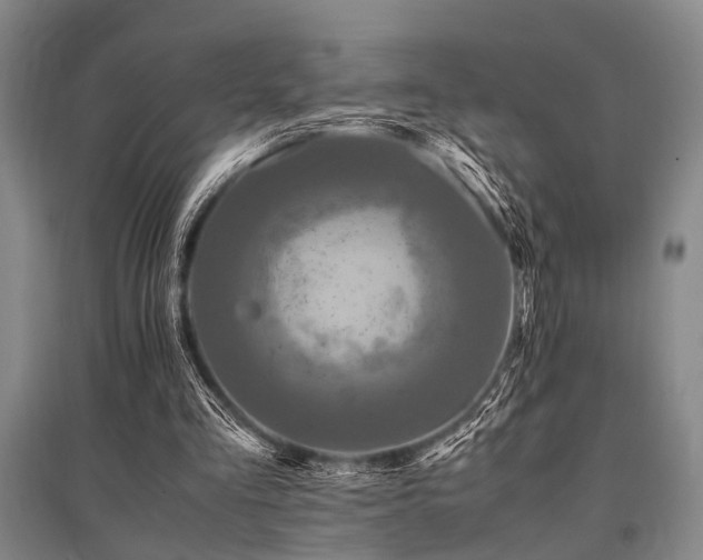 X0000095520293200712141452