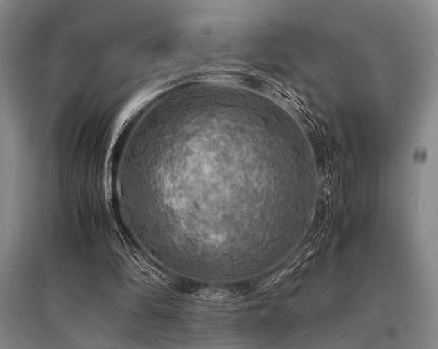 X0000095520294200712141452