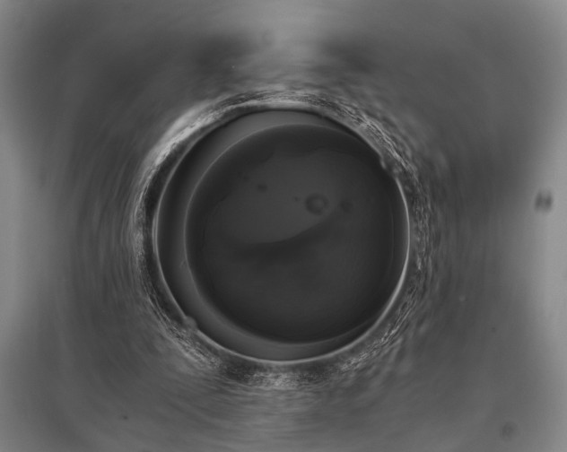 X0000095520295200712141452