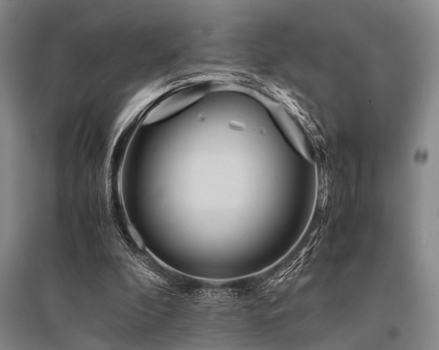 X0000095520296200712141452