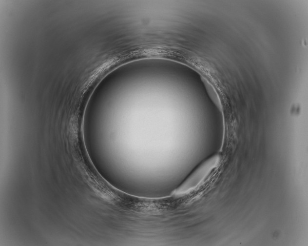 X0000095520297200712141452