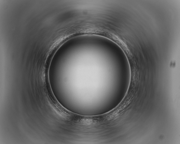 X0000095520298200712141452