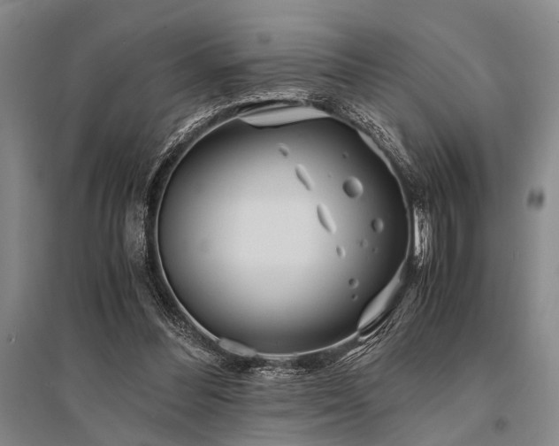 X0000095520300200712141452