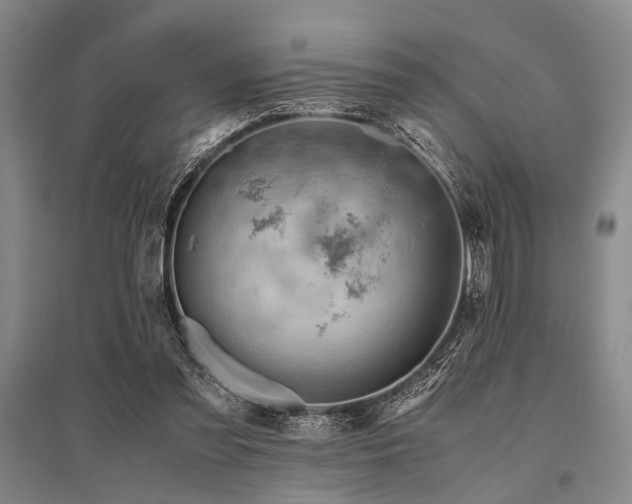 X0000095520301200712141452