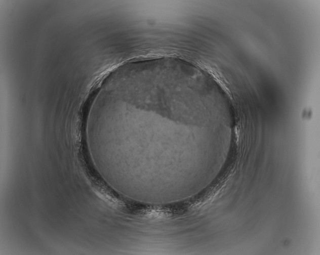 X0000095520303200712141452