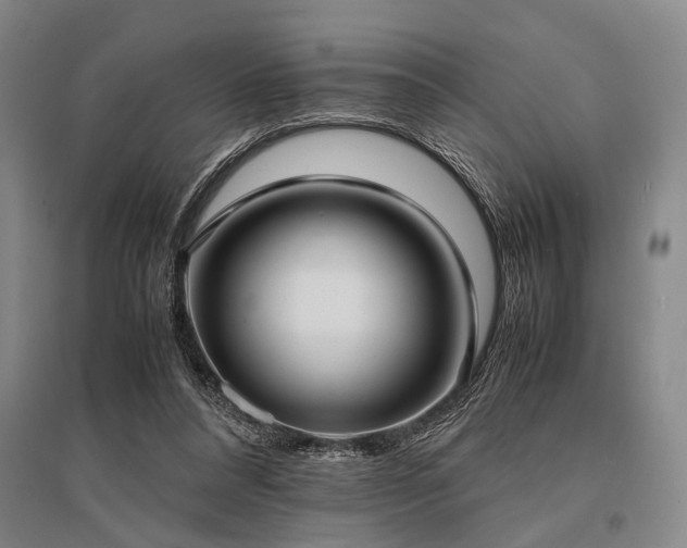 X0000095520304200712141452