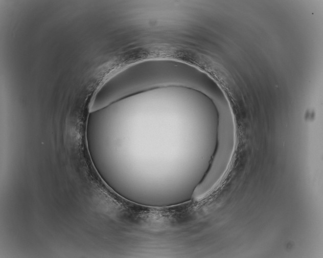 X0000095520305200712141452