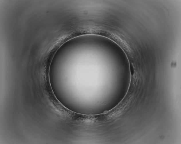 X0000095520306200712141452