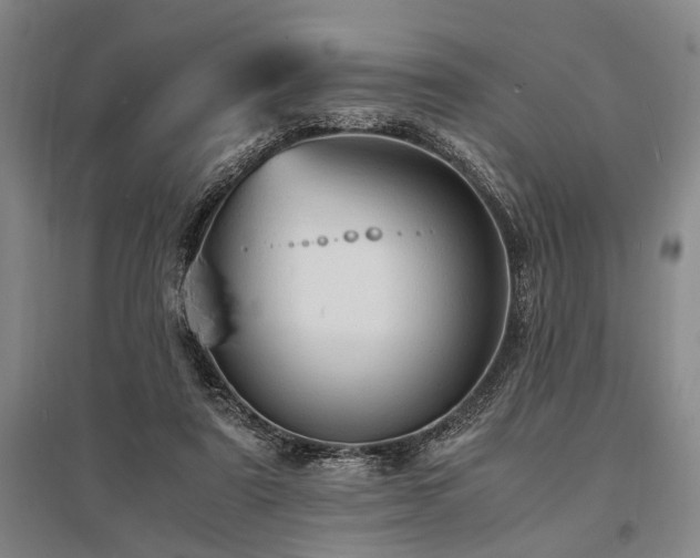 X0000095520307200712141452