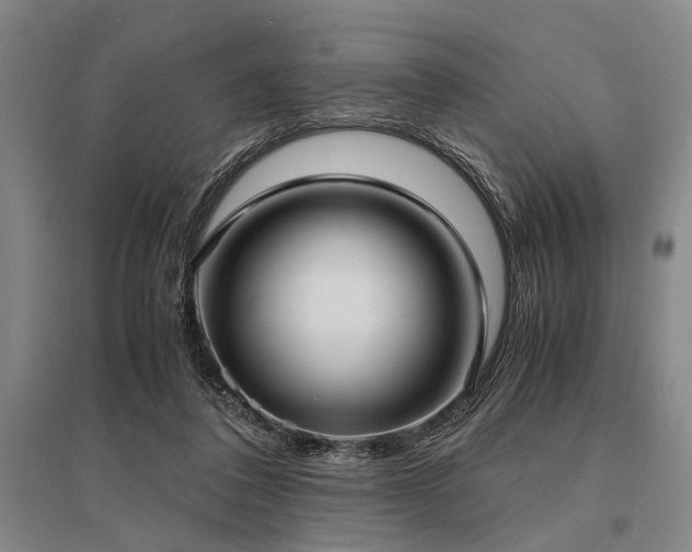 X0000095520308200712141452