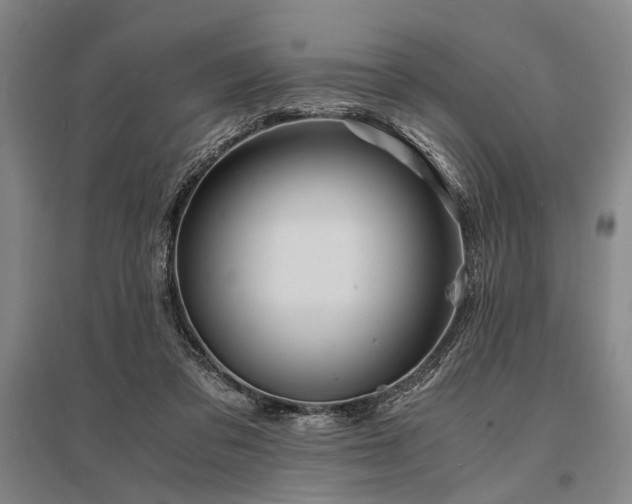 X0000095520309200712141452