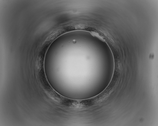 X0000095520311200712141452