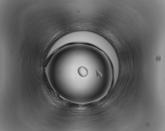 X0000095520312200712141452