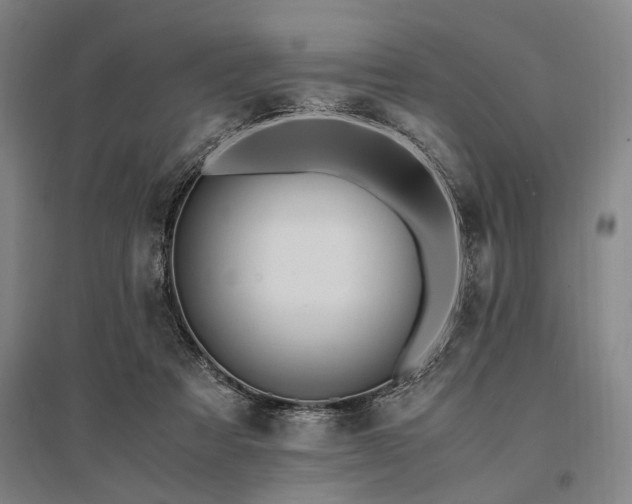 X0000095520313200712141452